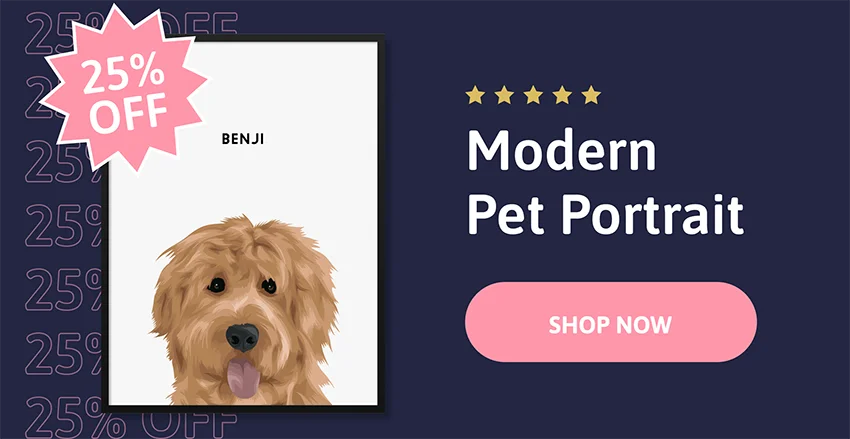 Modern Pet Portrait - One Pet