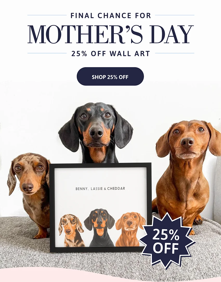 Final chance for Mother's Day. 25% OFF WALL ART