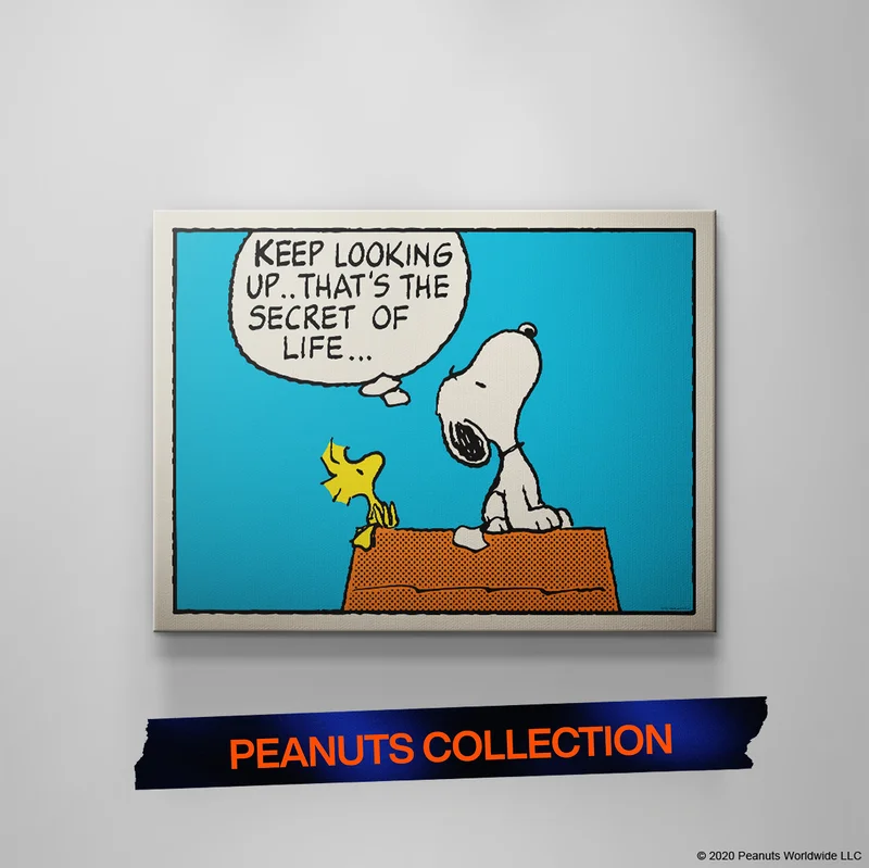 Peanuts-themed canvas featuring Snoopy and Woodstock with the quote ‘Keep looking up... that’s the secret of life.’ Text below reads ‘Peanuts Collection’ in orange. Peanuts-themed canvas featuring Snoopy and Woodstock with the quote ‘Keep looking up... that’s the secret of life.’ Text below reads ‘Peanuts Collection’ in orange.