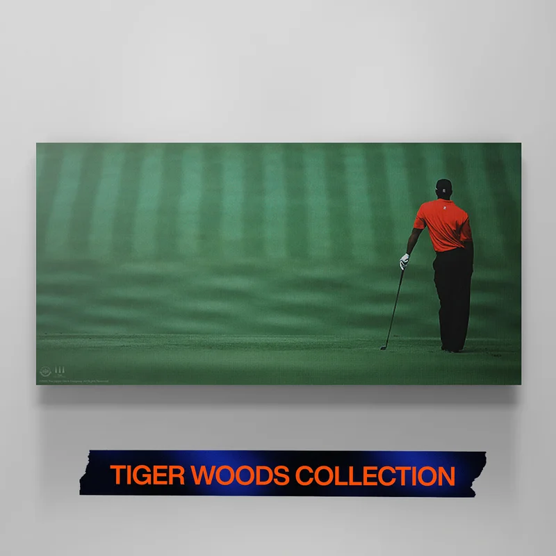 Canvas showing a golfer in a red shirt standing on a vast green fairway, viewed from behind. Text below reads ‘Tiger Woods Collection’ in orange. Canvas showing a golfer in a red shirt standing on a vast green fairway, viewed from behind. Text below reads ‘Tiger Woods Collection’ in orange.