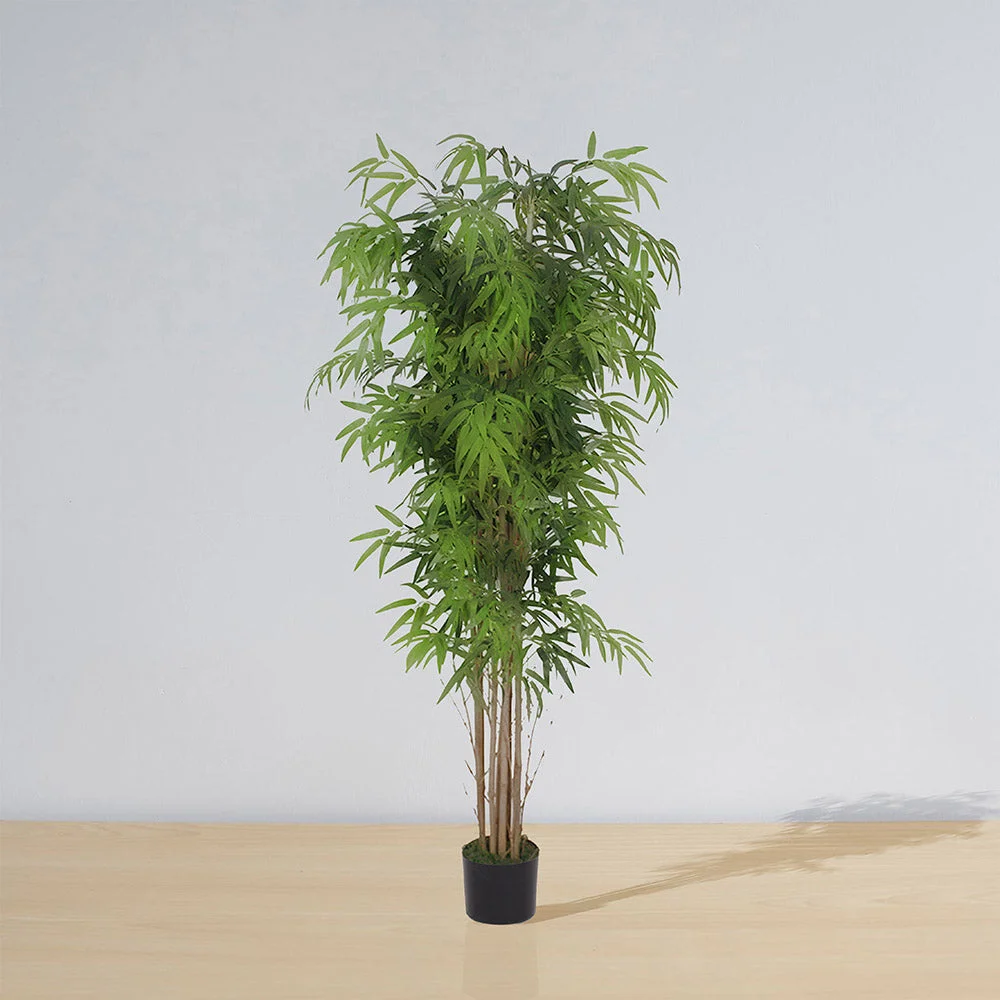 Image of Ceja Artificial Korea Bamboo Potted Plant (Multiple Sizes)