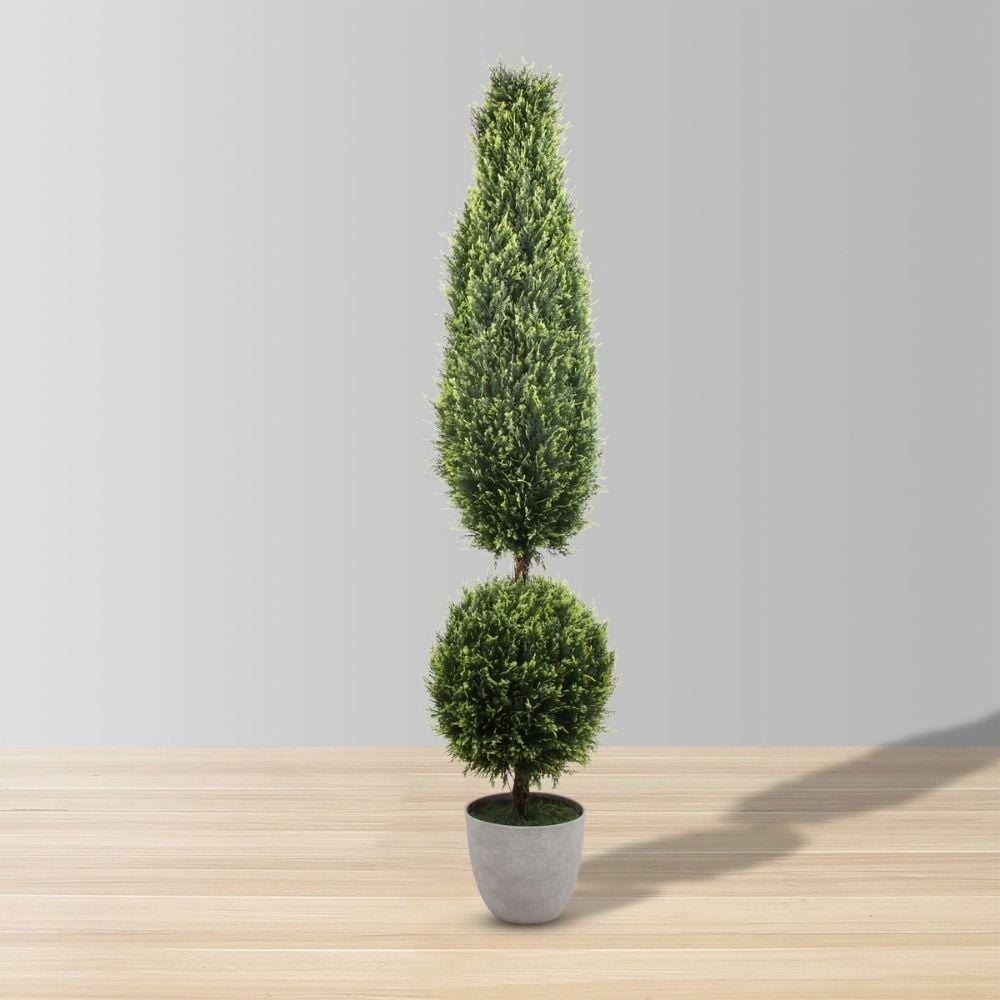 Image of Jacob Potted Boxwood Topiary Plant (Multiple Sizes)