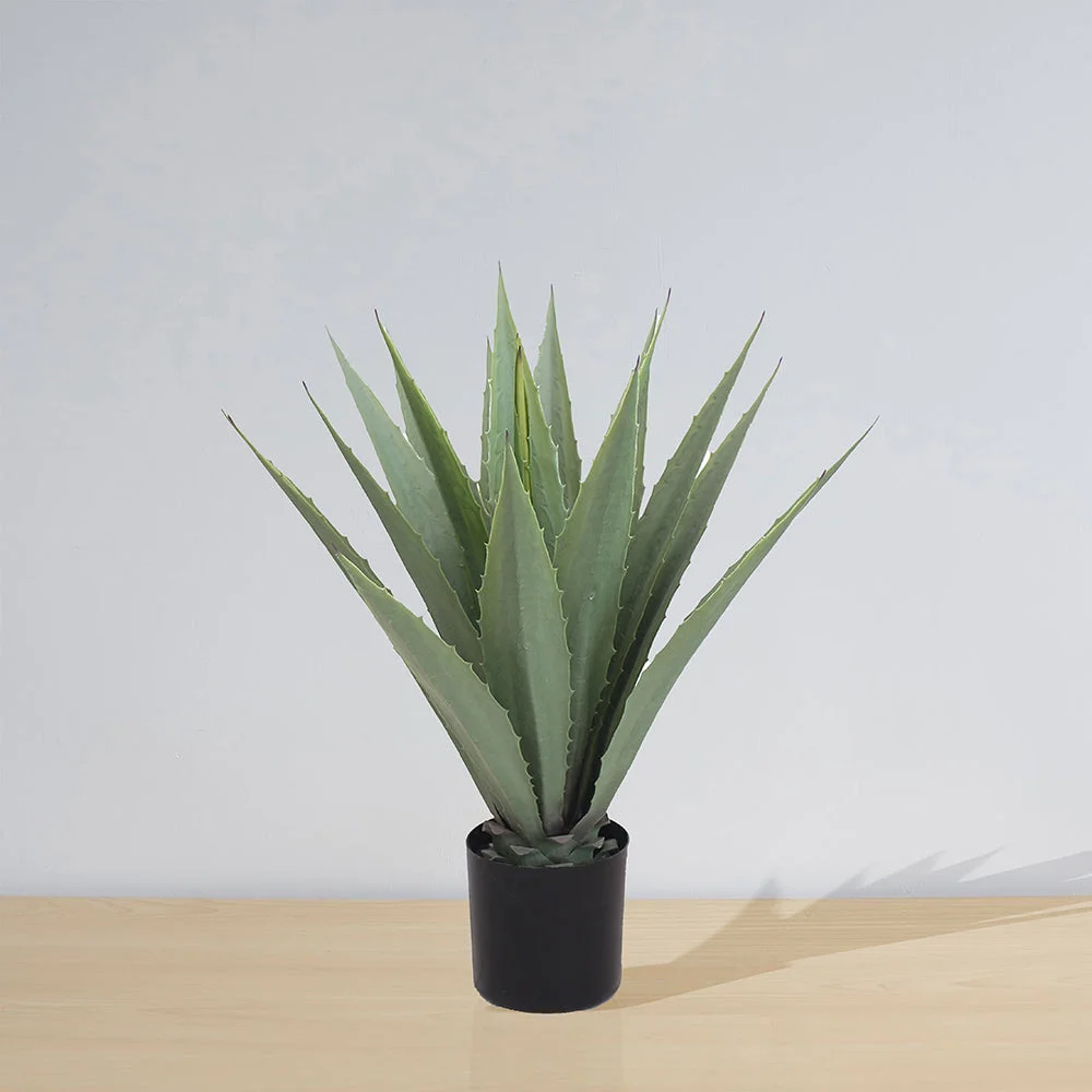 Image of Tunja Artificial Century Potted Plant (Multiple Sizes)