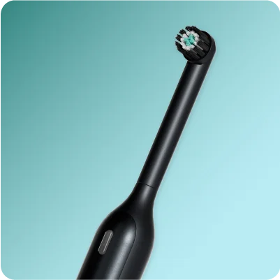 Shop quip 360