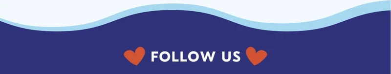 Follow us