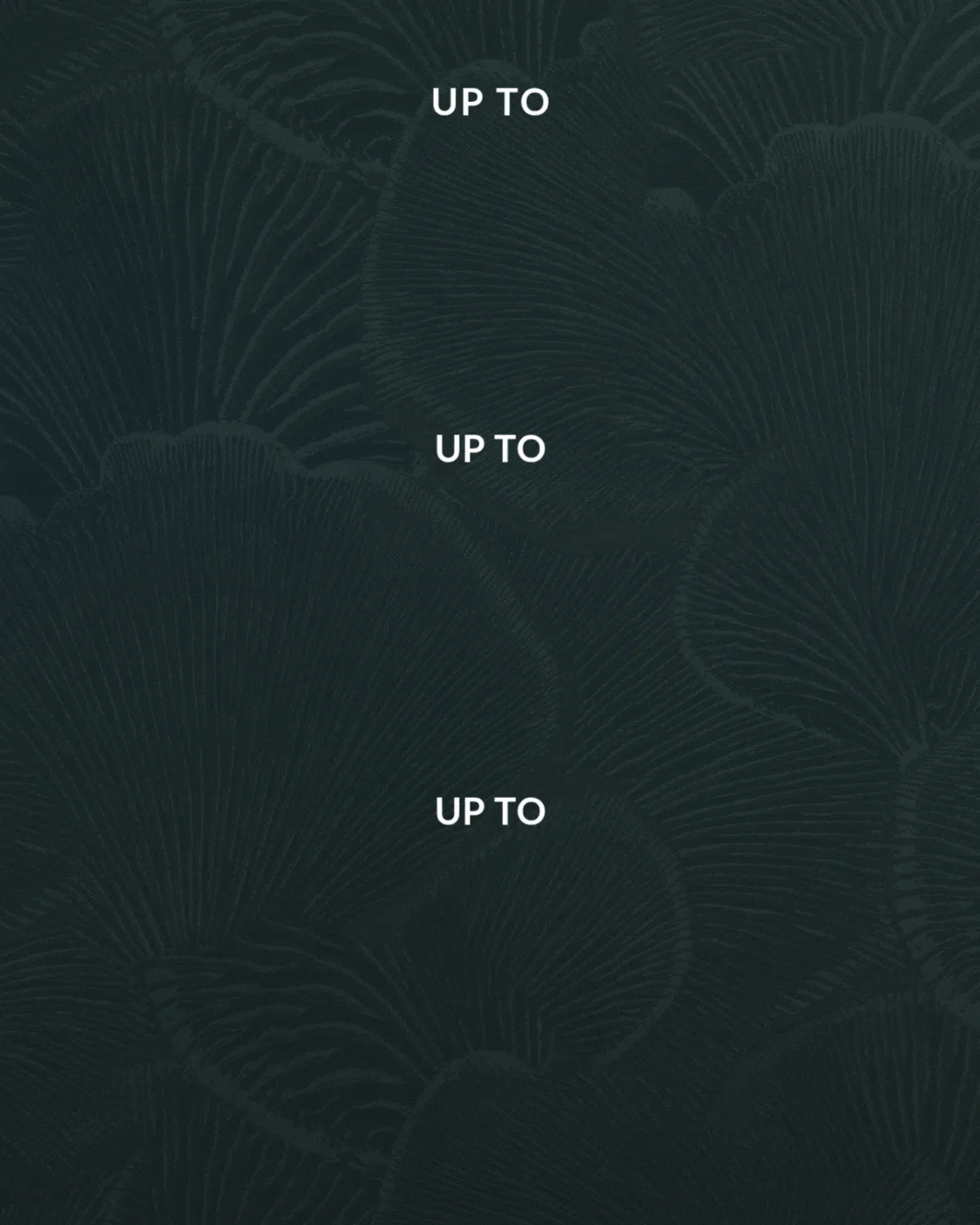 UP TO 35% OFF*