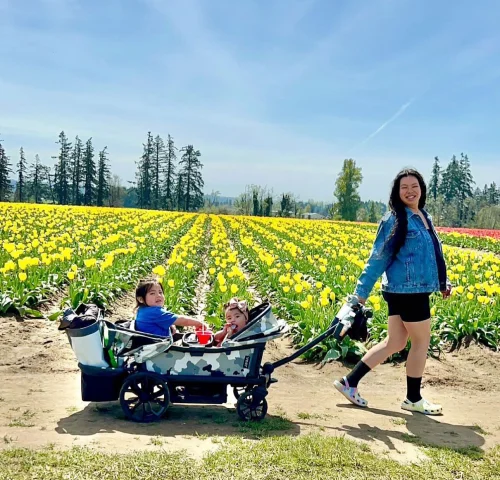 Veer Instagram Image