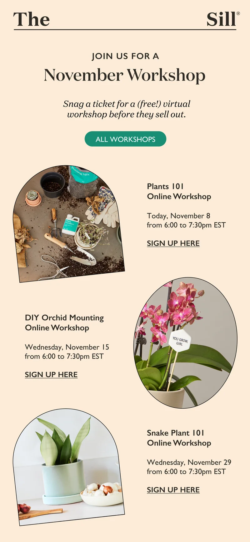 Join us for a November Workshop! Snag a ticket for a FREE virtual or in-person workshop before they sell out.