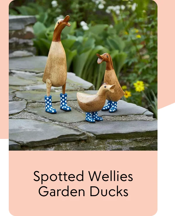 Spotted Wellies Garden Ducks