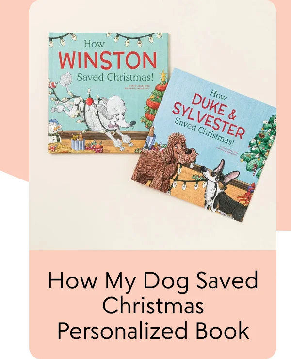How My Dog Saved Christmas Personalized Book