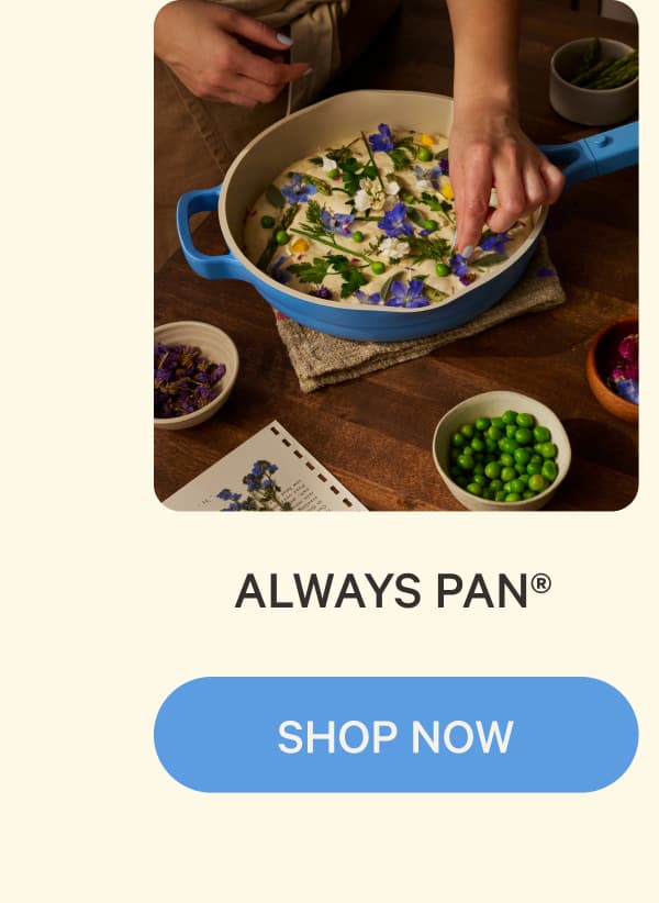 Always Pan®&nbsp;| Shop now