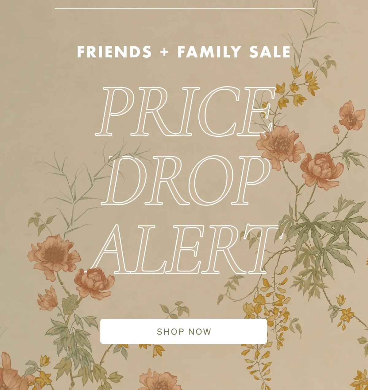 Shop our Friends & Family Sale