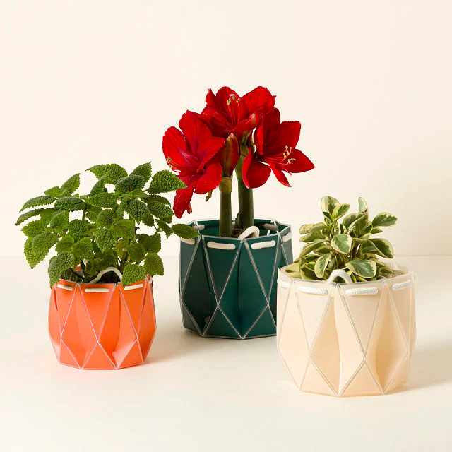 Pop Up Origami Self-Watering Pot