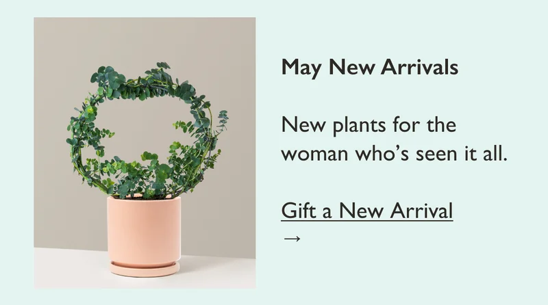 May New Arrivals: New plants for the woman who's seen it all.