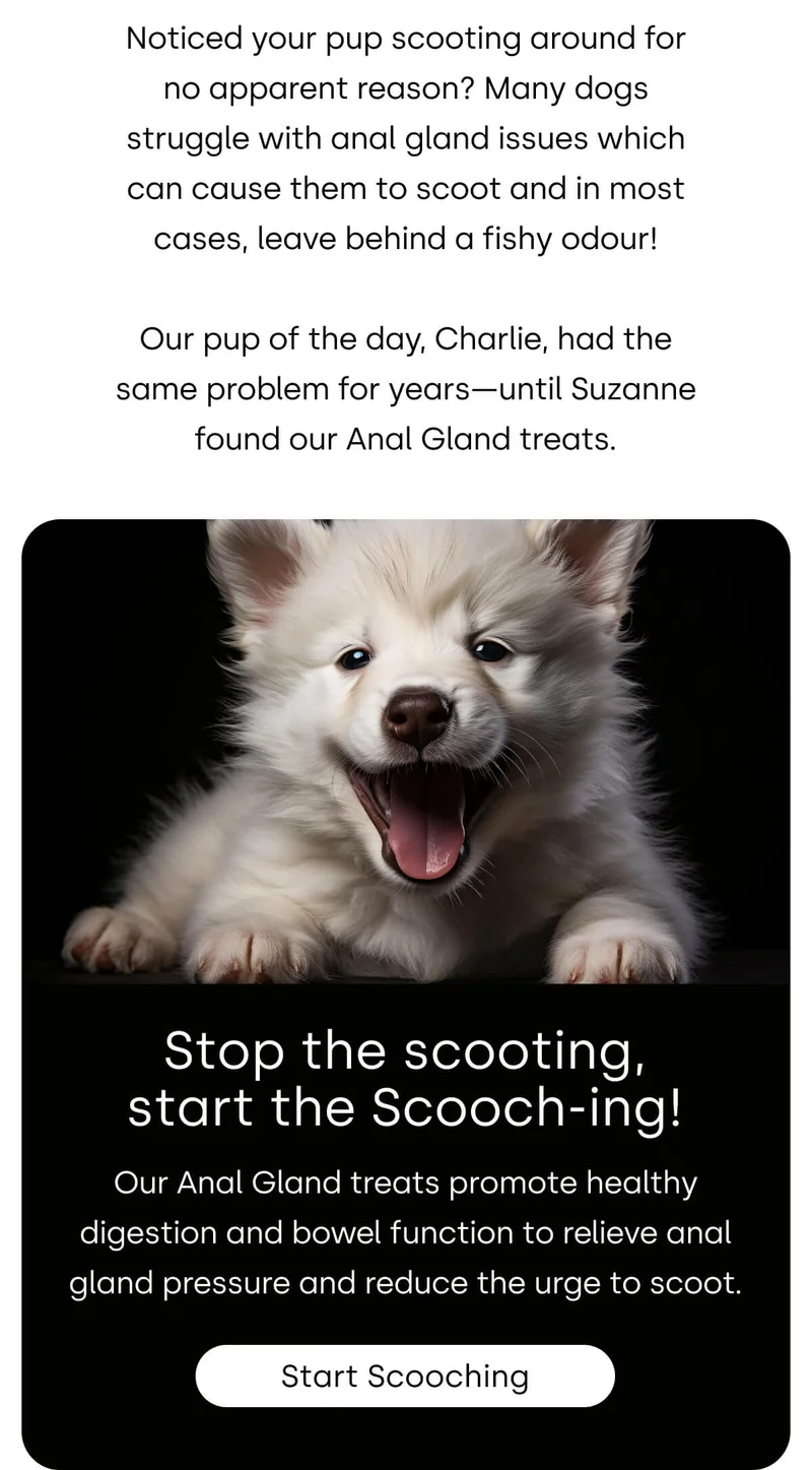 Stop the scooting, start the Scooching!
