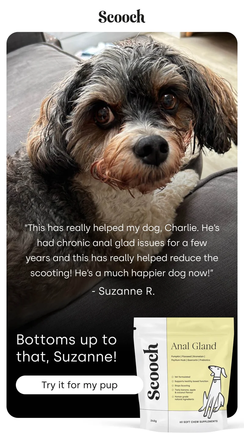 Bottoms up to that, Suzanne! - Try it for my pup