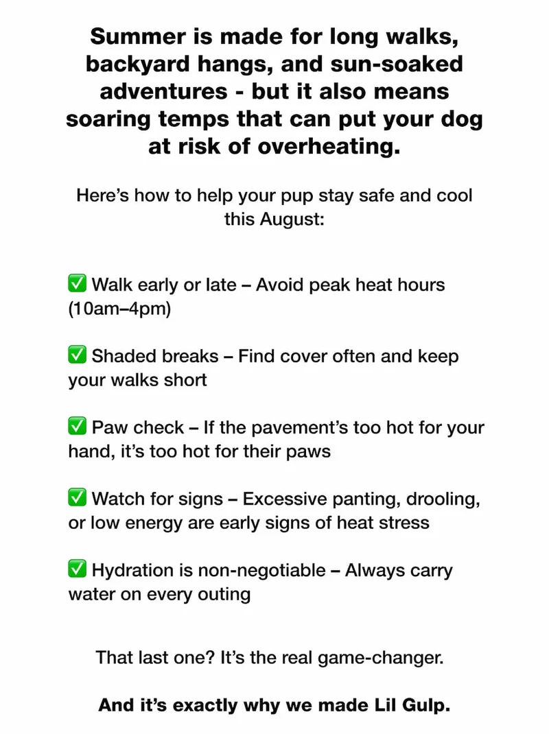 Summer is made for long walks, backyard hangs, and sun-soaked adventures - but it also means soaring temps that can put your dog at risk of overheating.  Here’s how to help your pup stay safe and cool this August: