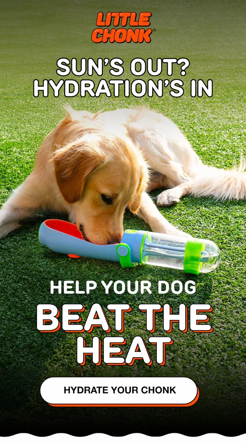 Sun’s Out? Hydration’s In