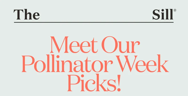 Meet Our Pollinator Week Picks