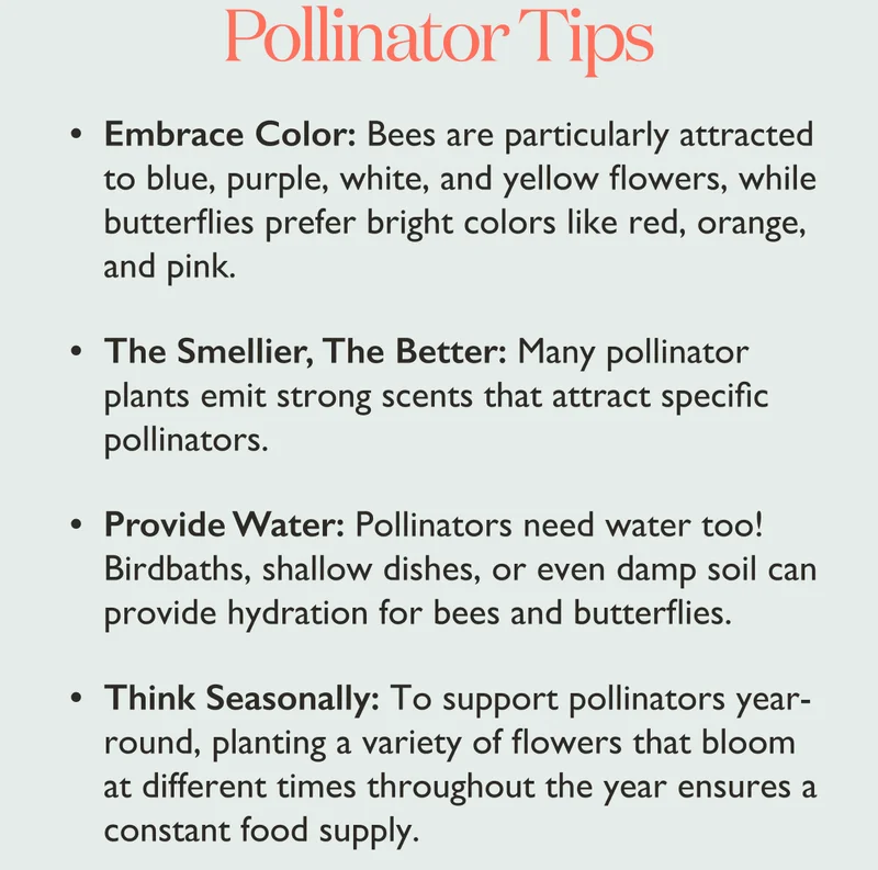 Shop Pollinator-Friendly Plants