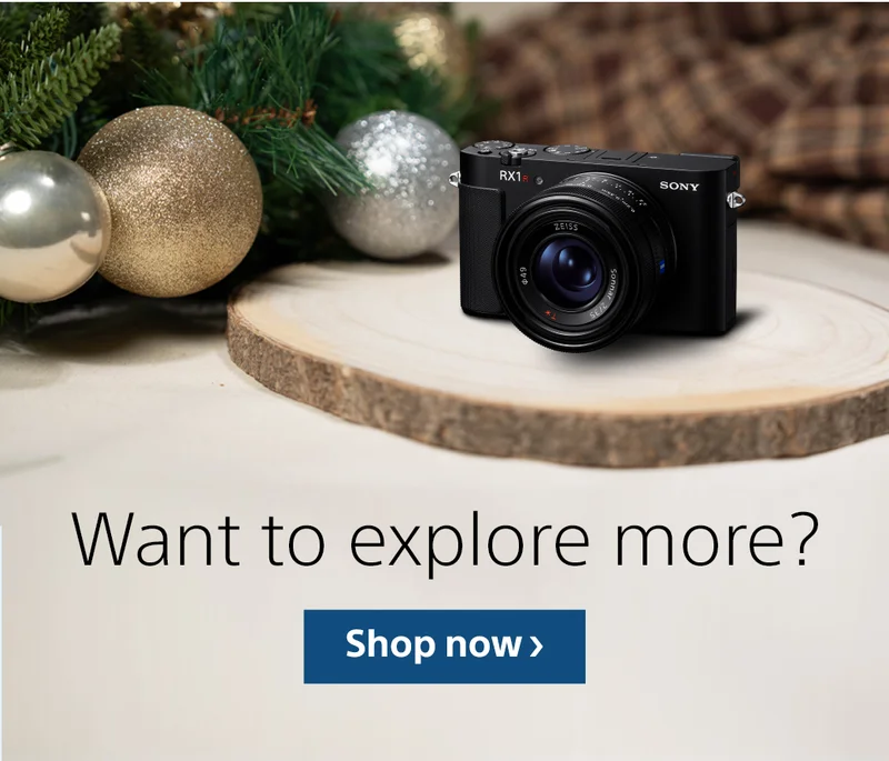 Want to explore more