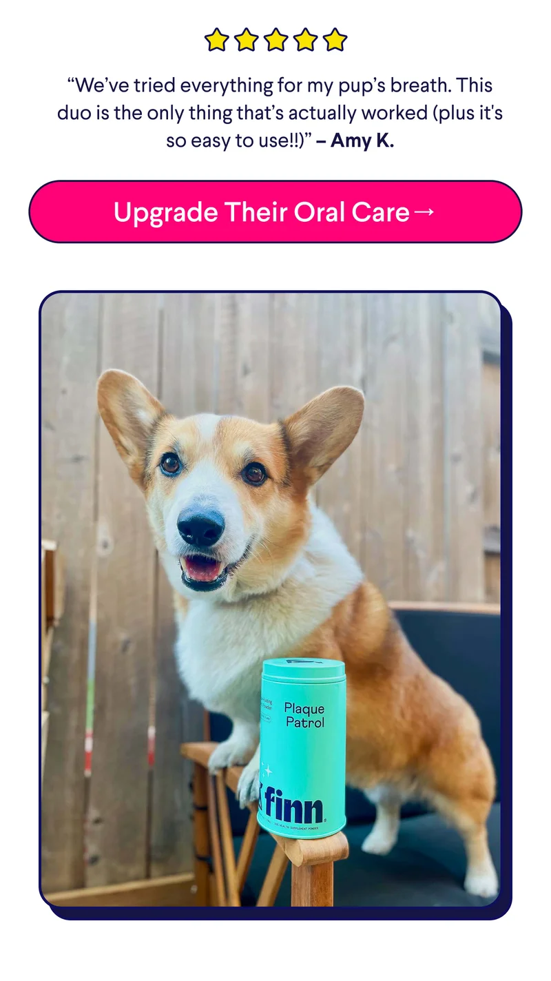 5-Star Customer Review: “We’ve tried everything for my pup’s breath. This duo is the only thing that’s actually worked (plus it's so easy to use!!)” – Amy K.  CTA: Upgrade Their Oral Care→