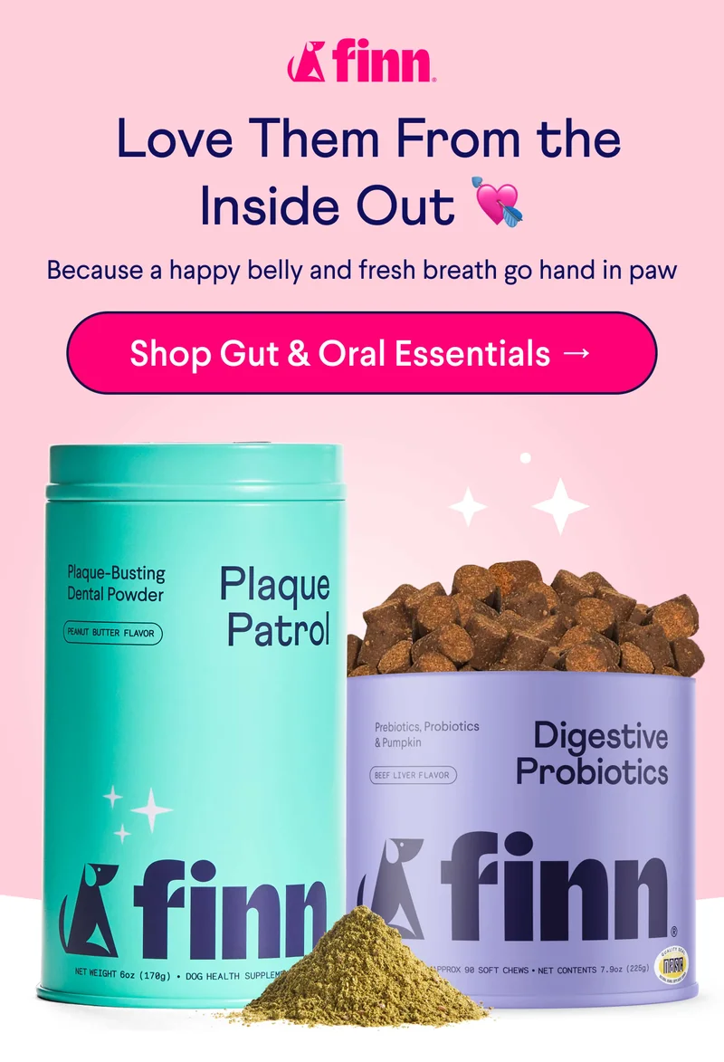 Finn logo. Text:&nbsp;Love Them From the Inside Out 💘 Because a happy belly and fresh breath go hand in paw. CTA: Shop Gut & Oral Essentials →