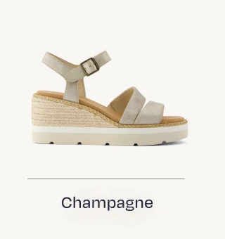 Shop Champagne - Image
