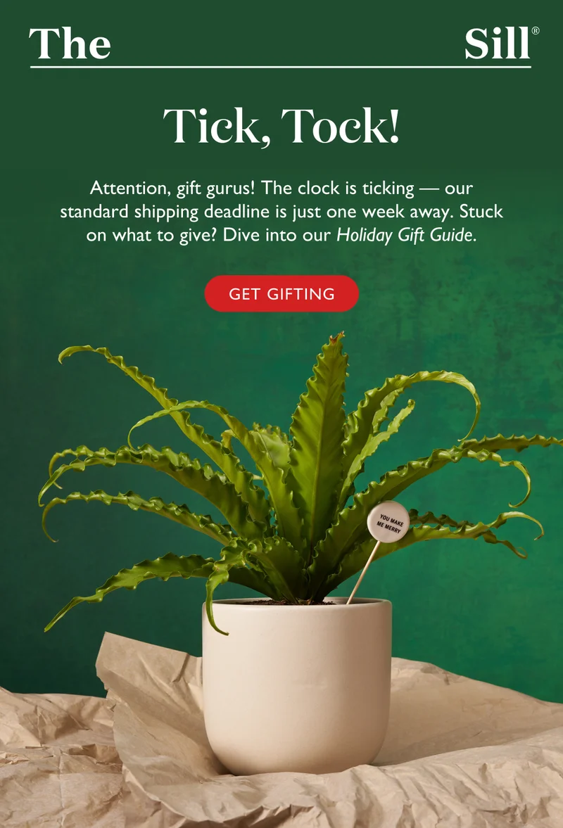The clock is ticking - our standard shipping deadline is just one week away. Stuck on what to give? Dive into our Holiday Gift Guide.