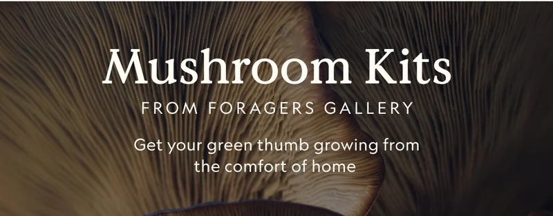 Foragers Galley
