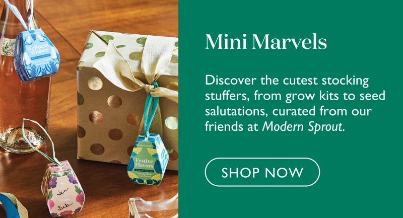 Discover the cutest stocking stuffers, from grow kits to seed pops, curated from our friends at Modern Sprout.