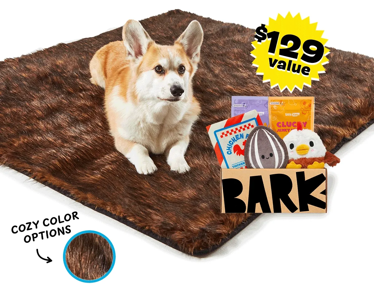 Dog Bed