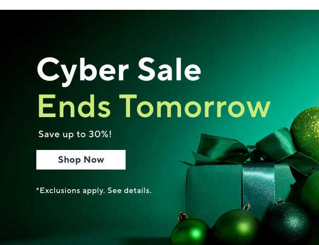 Cyber Sale