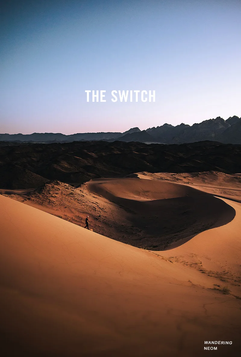 THE SWITCH