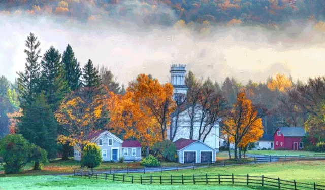 fall