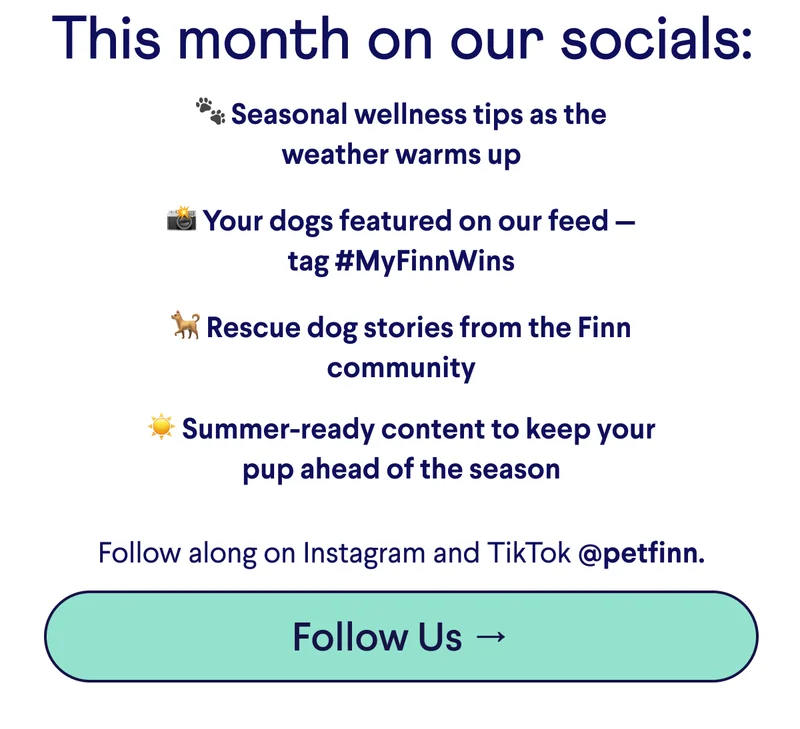 Text: This month on our socials: &nbsp; 🐾 Seasonal wellness tips as the weather warms up  📸 Your dogs featured on our feed — tag #MyFinnWins  🐕 Rescue dog stories from the Finn community     ☀️ Summer-ready content to keep your pup ahead of the season  Follow along on Instagram and TikTok @petfinn. CTA: Follow Us →