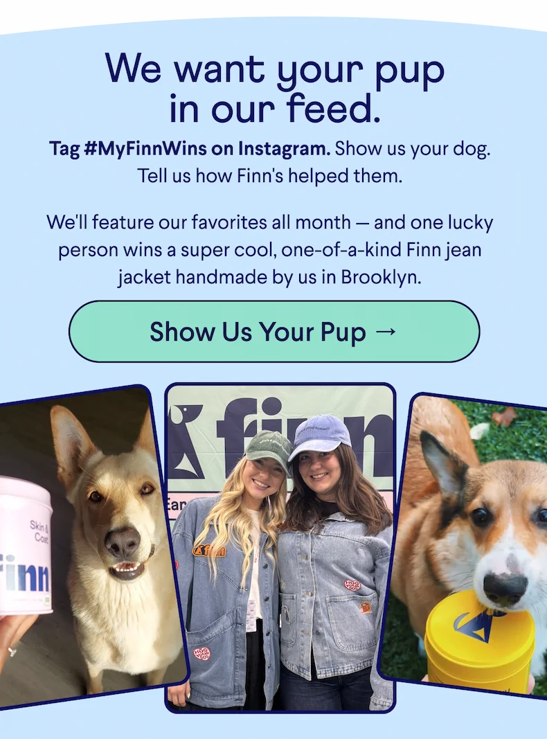 Text: We want your pup in our feed. Tag #MyFinnWins on Instagram. Show us your dog. Tell us how Finn's helped them. &nbsp; We'll feature our favorites all month — and one lucky person wins a super cool, one-of-a-kind Finn jean jacket handmade by us in Brooklyn.  CTA: Show Us Your Pup →