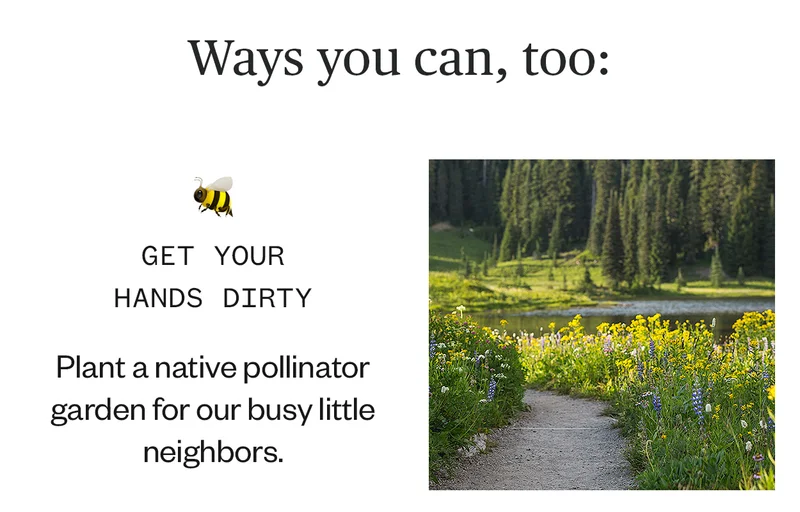 Get your hands dirty
