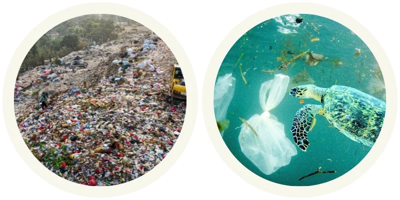 world waste