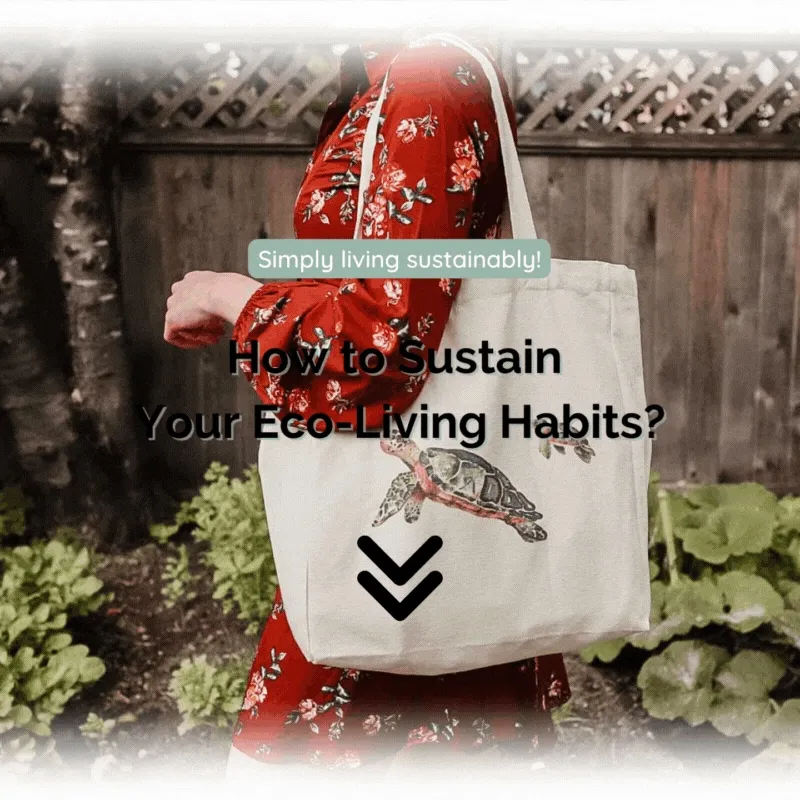 Eco-Collective Company