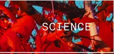 Science