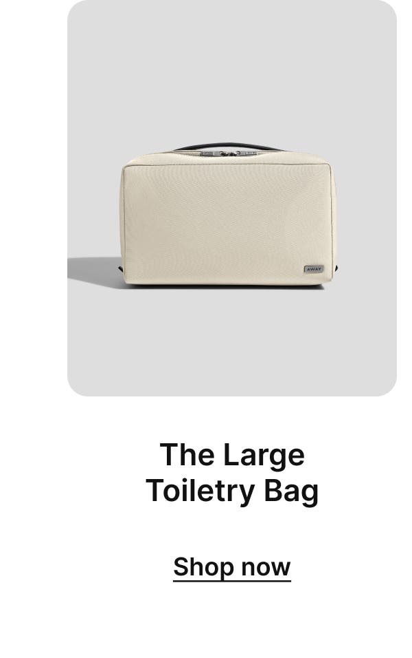 The Large Toiletry Bag