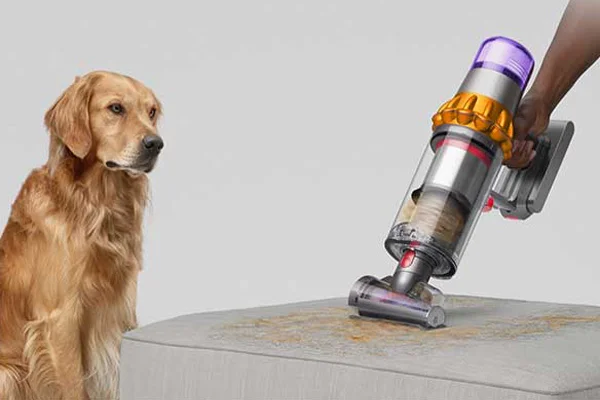 A dog looks on as the Hair screw tool is used to vacuum a pet bed