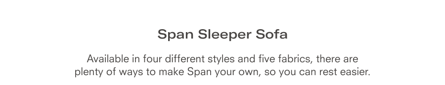 Span Sleeper Sofa