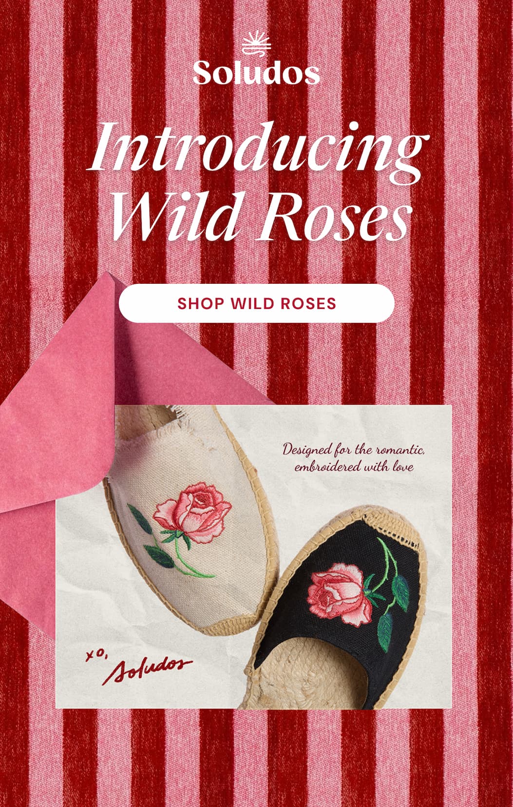 Introducing Wild Roses [Shop Wild Roses]