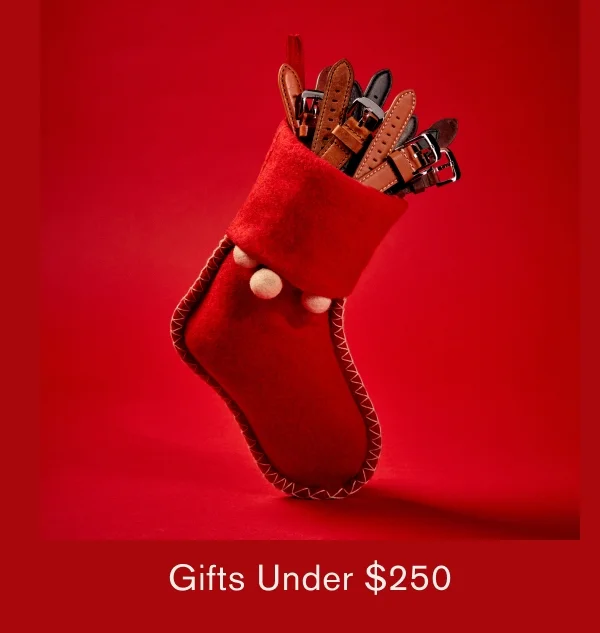 Gifts Under $250
