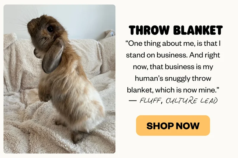 THROW BLANKET | THROW BLANKET SHOP NOW “One thing about me, is that I stand on business. And right now, that business is my human’s snuggly throw blanket, which is now mine.”  — Mr. Fluff, Culture Lead
