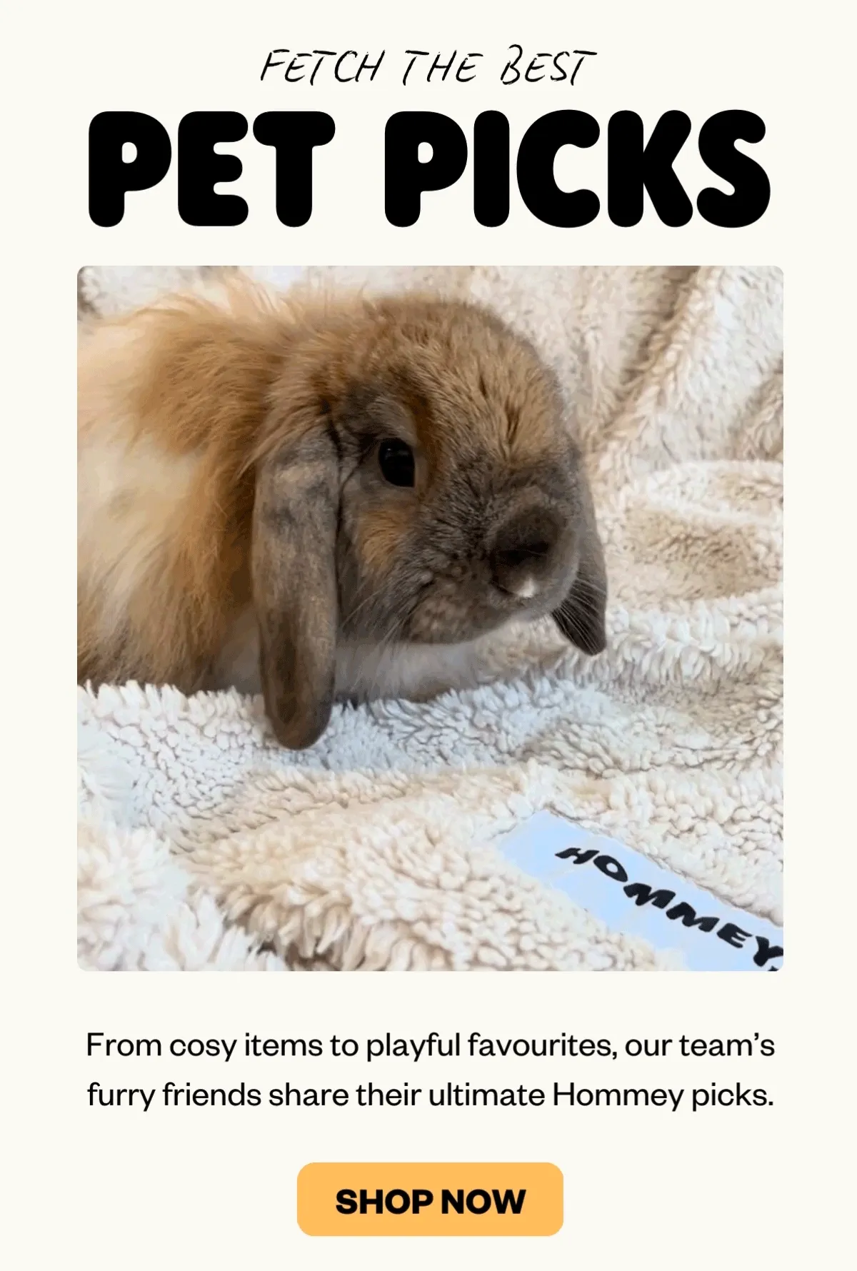 FETCH THE BEST | PET PICKS | From cosy items to playful favourites, our team’s furry friends share their ultimate Hommey picks.