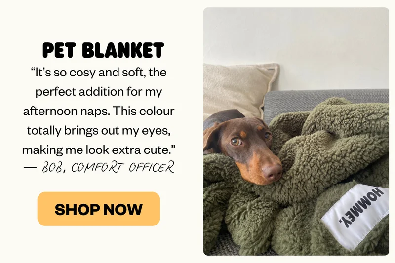 PET BLANKET | PET BLANKET SHOP NOW “It’s so cosy and soft, the perfect addition for my afternoon naps. This colour totally brings out my eyes, making me look extra cute.” — Bob, Comfort Officer
