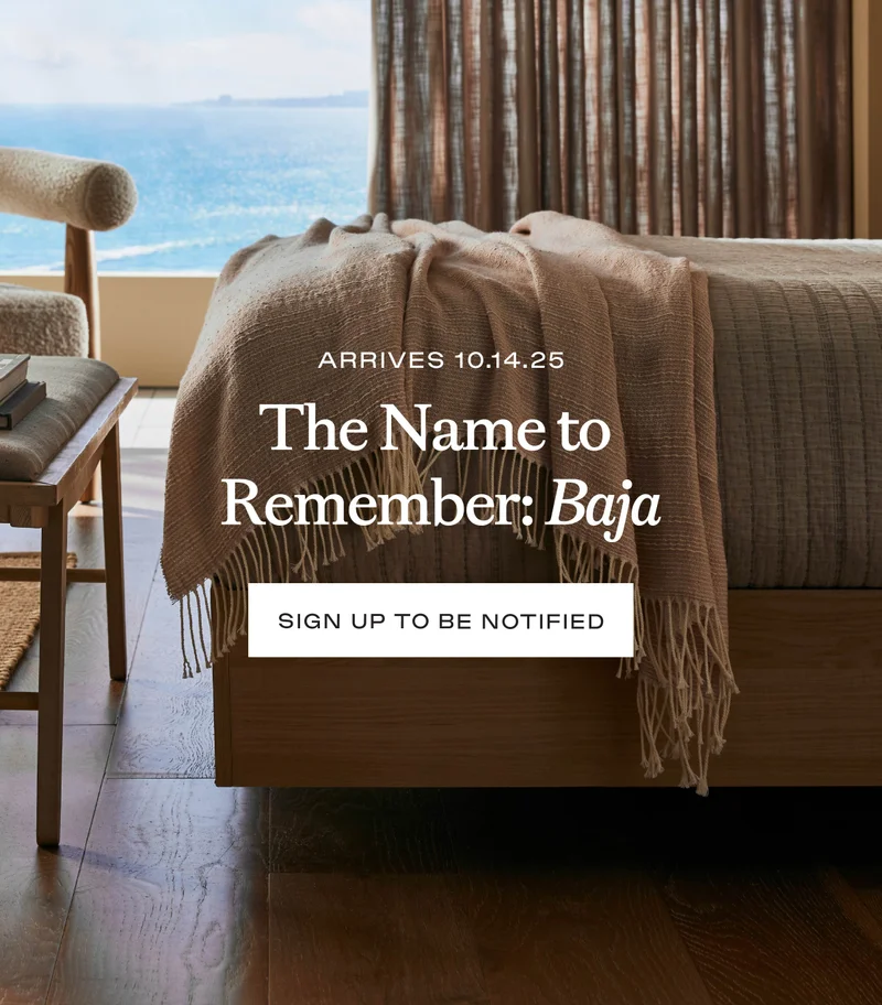 The name to remember: Baja - Sign up to be notified